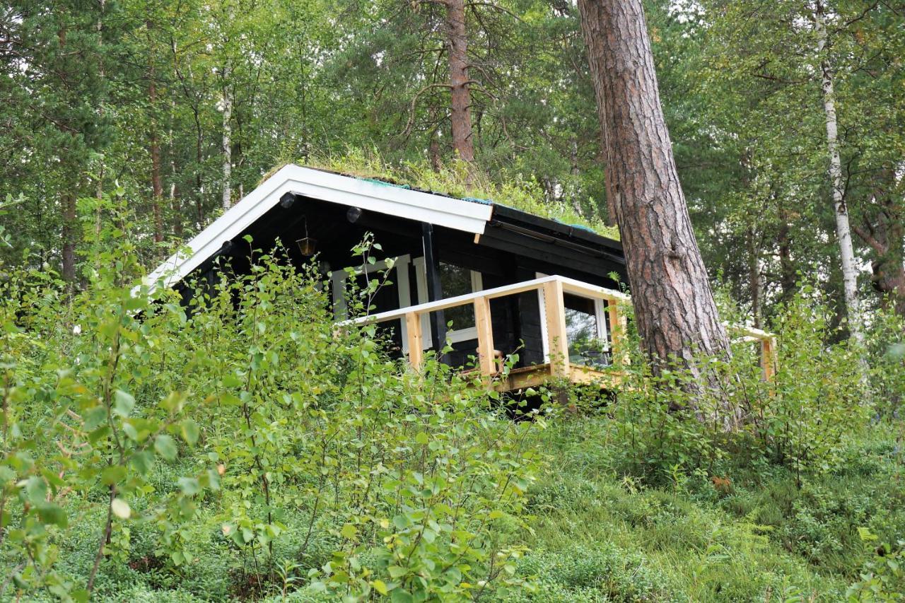 Birk Bed & Birds Bed & Breakfast Svanvik Luaran gambar