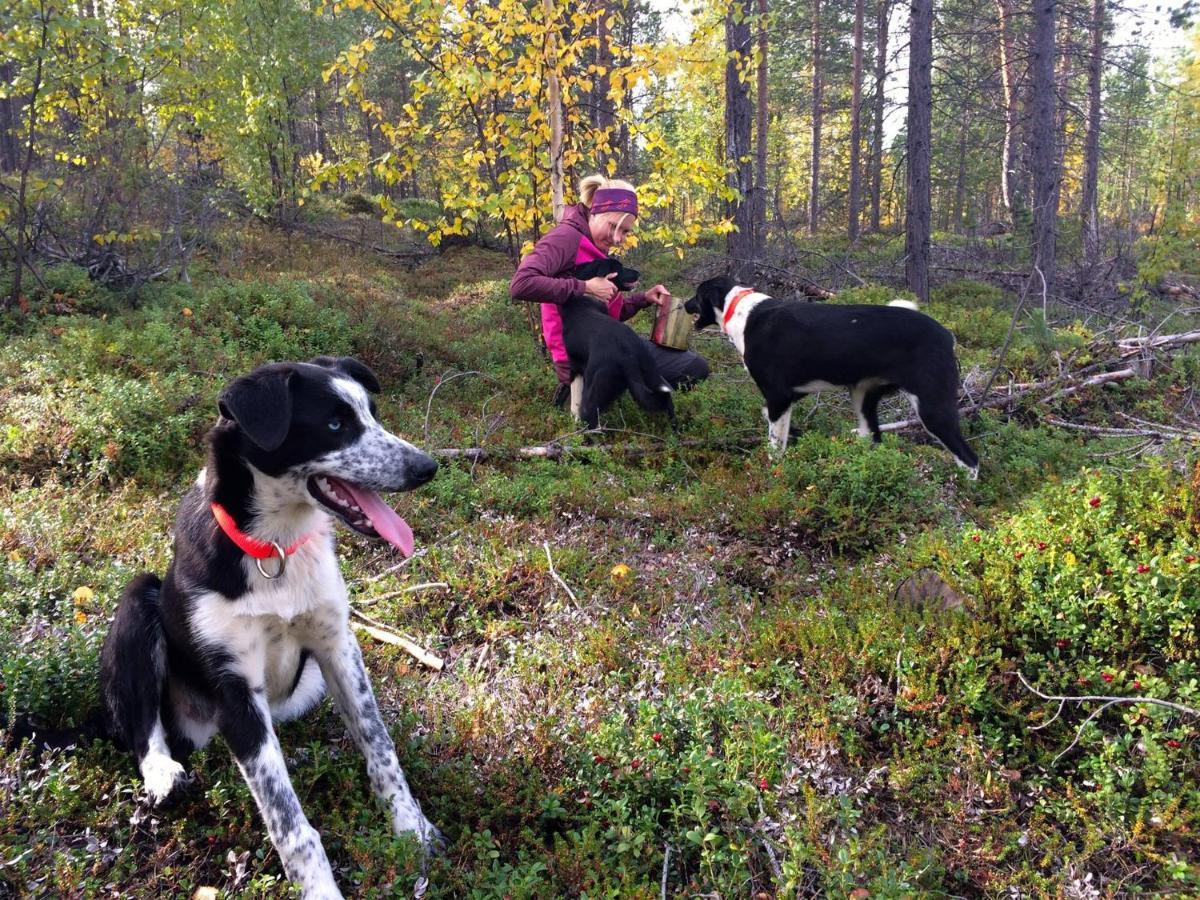 Birk Bed & Birds Bed & Breakfast Svanvik Luaran gambar
