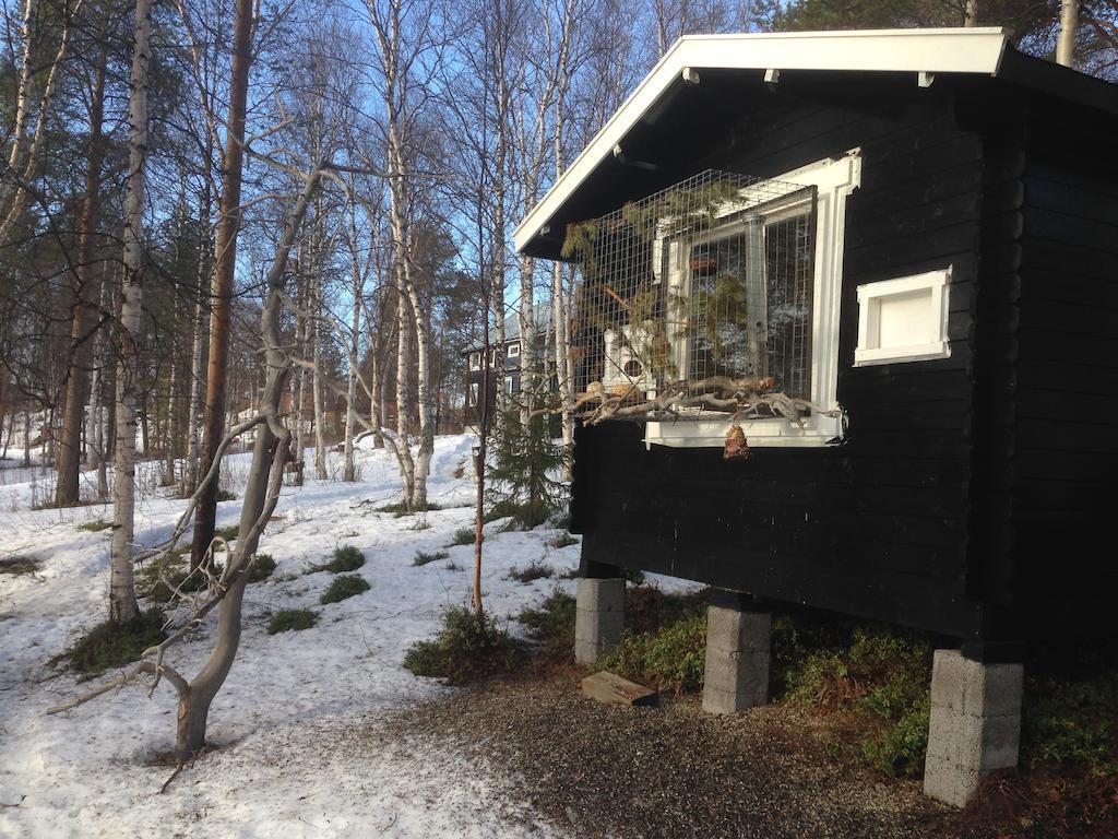 Birk Bed & Birds Bed & Breakfast Svanvik Luaran gambar