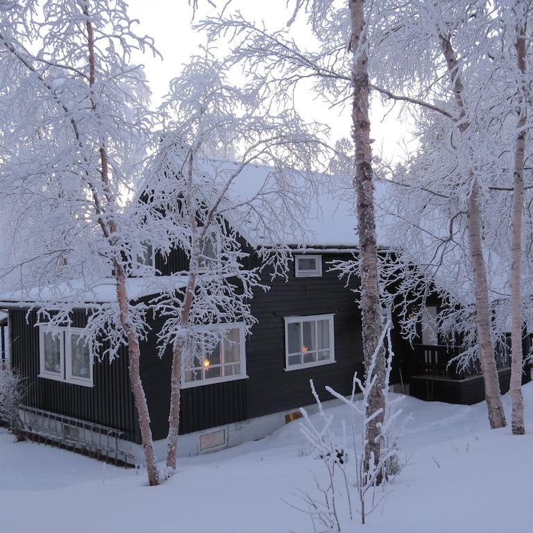 Birk Bed & Birds Bed & Breakfast Svanvik Luaran gambar