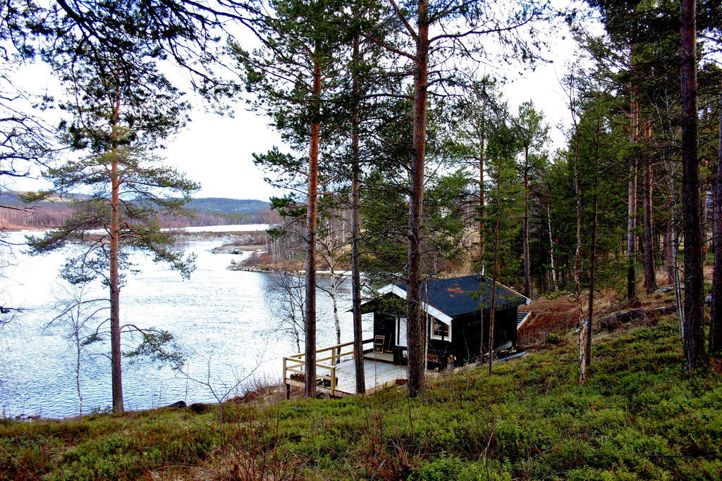 Birk Bed & Birds Bed & Breakfast Svanvik Luaran gambar