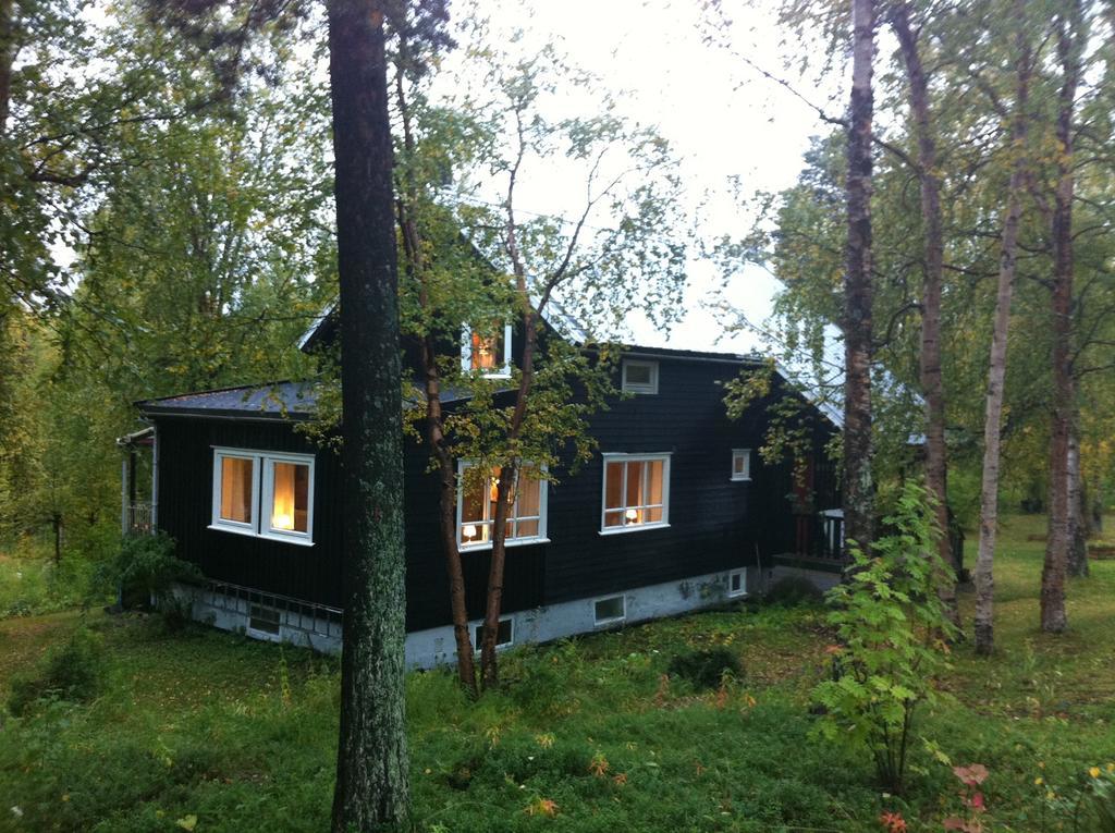 Birk Bed & Birds Bed & Breakfast Svanvik Bilik gambar